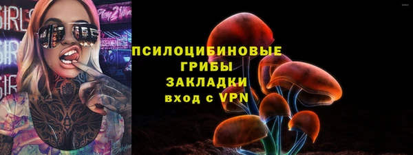 СК Алексеевка