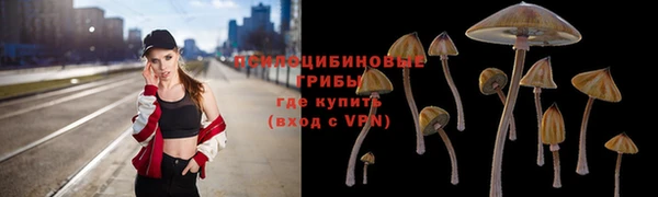 jwh Алзамай