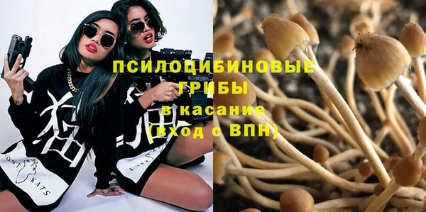 СК Алексеевка
