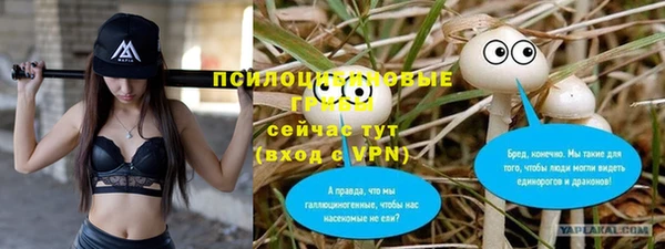 СК Алексеевка